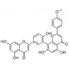 罗汉松黄酮 A