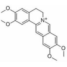 Pseudopalmatine