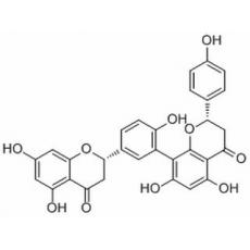 Tetrahydroamentoflavone