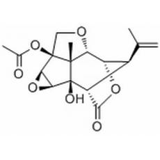 13-O-乙酰基马桑宁