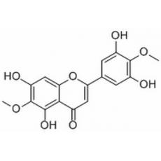 3',5,5',7-Tetrahydroxy-4',6-dime