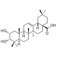 2,3-二羟基-12-齐墩果烯-28-酸