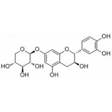 7-木糖苷儿茶酚