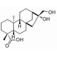 等效-16beta,17-二羟基-19-异贝壳杉烷酸