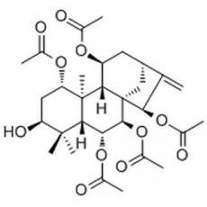 树皮含滇杠柳素A