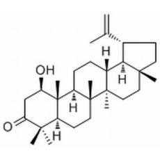 算盘子酮醇