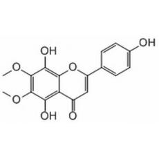 Isothymusin