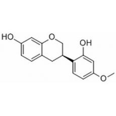 维斯体素