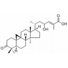 23-Hydroxymangiferonic acid