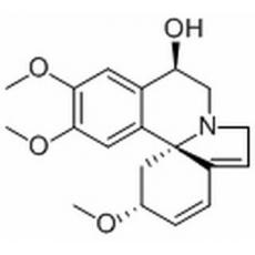 刺桐阿亭