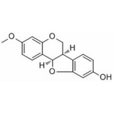 异美迪紫檀素