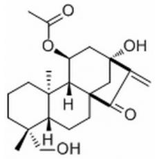 叶含乙酰瘿花香茶菜素 A