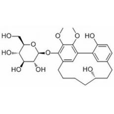  (+)-S-Myricanol glucoside