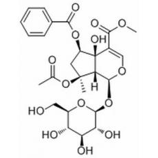 6-O-Benzoylphlorigidoside B