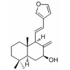 二羟丙茶碱A