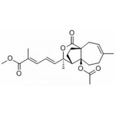 Methyl pseudolarate A