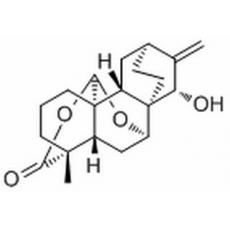 绣线菊内醋 B