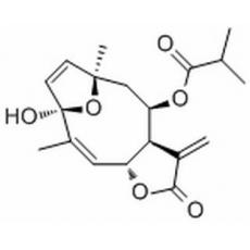 圆叶肿柄菊素 F