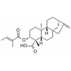 ent-3β-Tigloyloxykaur-16-en-19-o