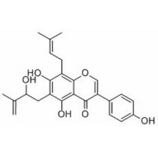  Isoerysenegalensein E