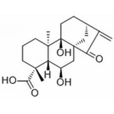 等效-6,9-二羟基-15-氧代-16-贝壳杉烯-19-酸