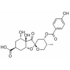 Glochicoccin D