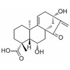 Pterisolic acid A