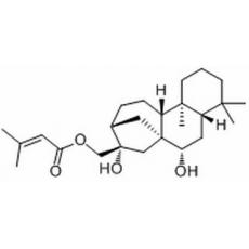 黄花香茶菜甲素