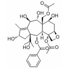 13-邻去乙酰基红豆杉醇 Z