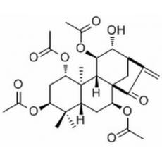 苍山香茶菜素