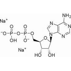  5-腺苷二磷酸二钠盐