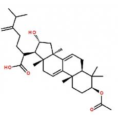 去氢茯苓酸