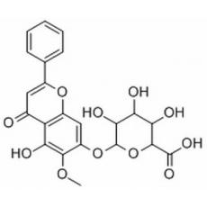 千层纸素A-7-0-β-D-葡萄糖醛酸苷