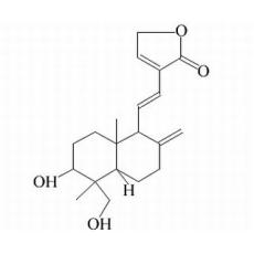 脱水穿心莲内酯