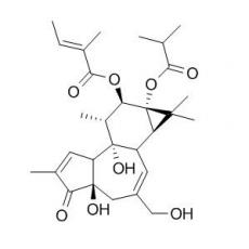 伏波酯-12-惕各酸酯-13-异丁酸酯