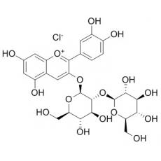 氯化矢车菊素-3-O-槐糖苷