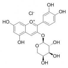 氯化矢车菊素-3-O-阿拉伯糖苷