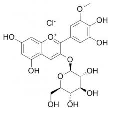 氯化矮牵牛素-3-O-葡萄糖苷