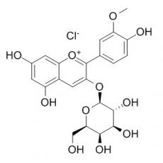 氯化芍药素-3-O-半乳糖苷