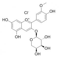 氯化芍药素-3-O-阿拉伯糖苷