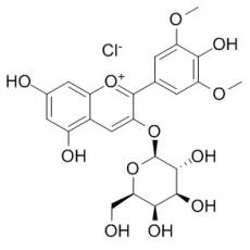 氯化锦葵色素-3-O-半乳糖苷