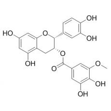 表儿茶素3-O-(3''-O-甲基)没食子酸酯