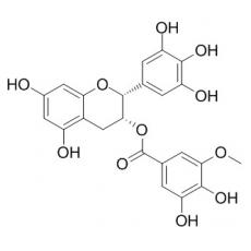 表没食子儿茶素3-O-(3''-O-甲基)没食子酸酯