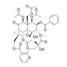 鬼箭羽碱，叶含卫矛碱