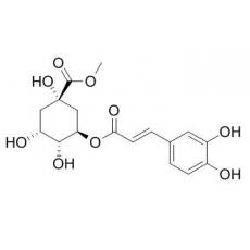  3-咖啡酰奎尼酸甲酯