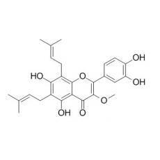 楮树黄酮醇B