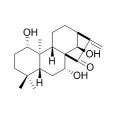 尾叶香茶菜戊素