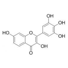 洋槐黄素