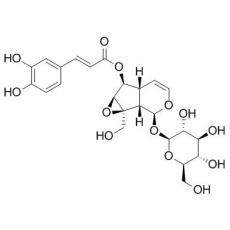 梓醇6-咖啡酸酯