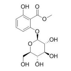  6-(beta-D-吡喃葡萄糖氧基)水杨酸甲酯